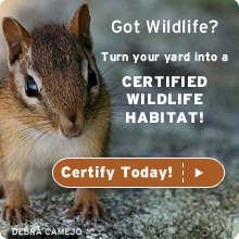 certify your yard today!